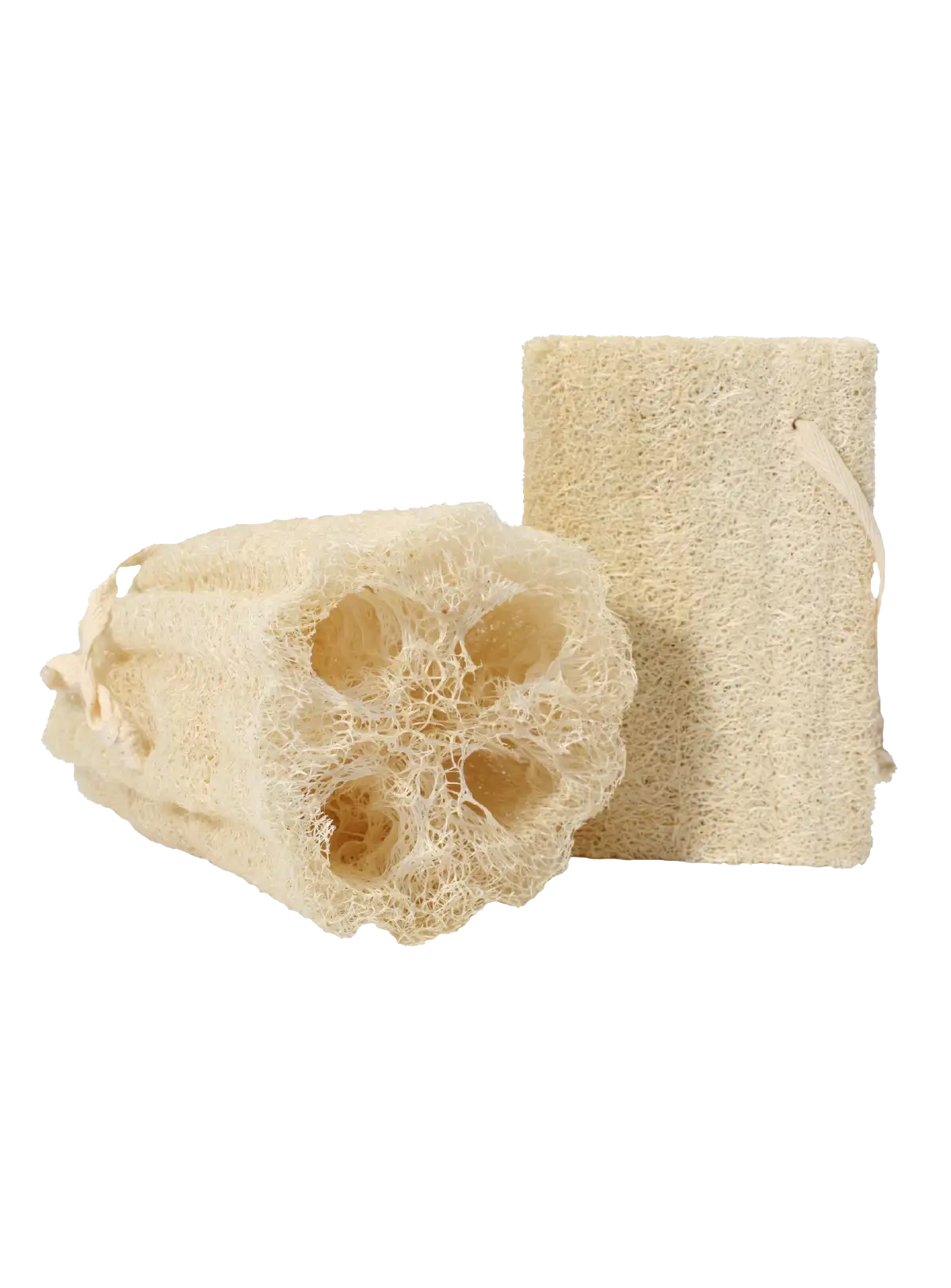 Lalive Doğal Kabak Lifi 2